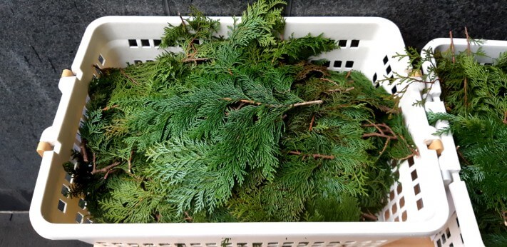 9c32d2c8fcb02f0f8a6fbed45e250e17_1555383