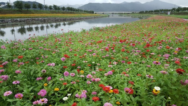 adaccfff603268e0804a576daca85534_1565530