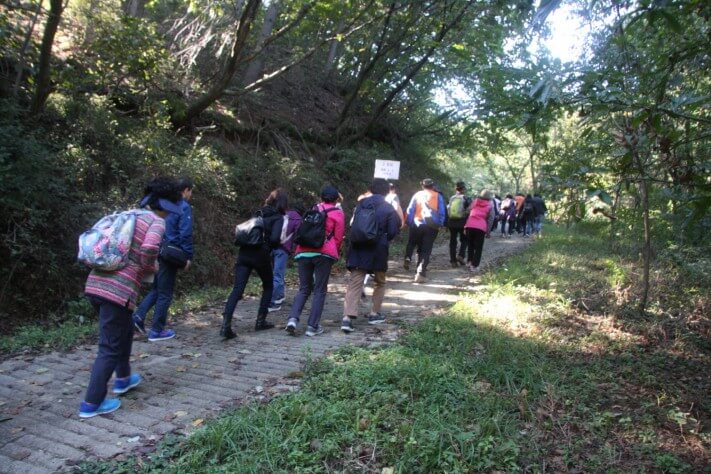 5d850a3bd09b2cc4beab1ddf95c6adfd_1570697