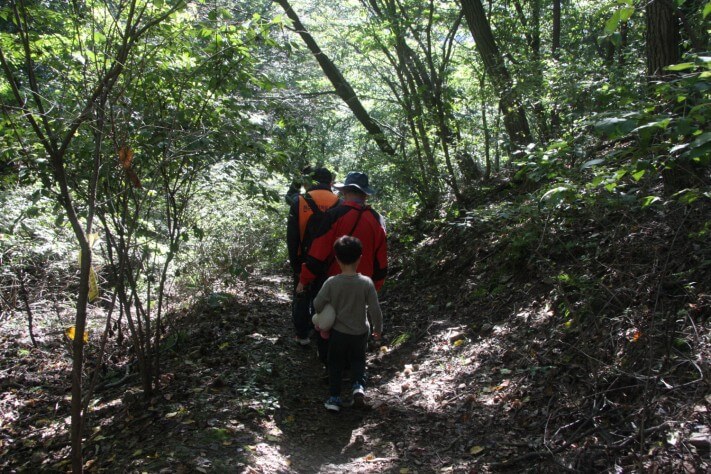 5d850a3bd09b2cc4beab1ddf95c6adfd_1570697