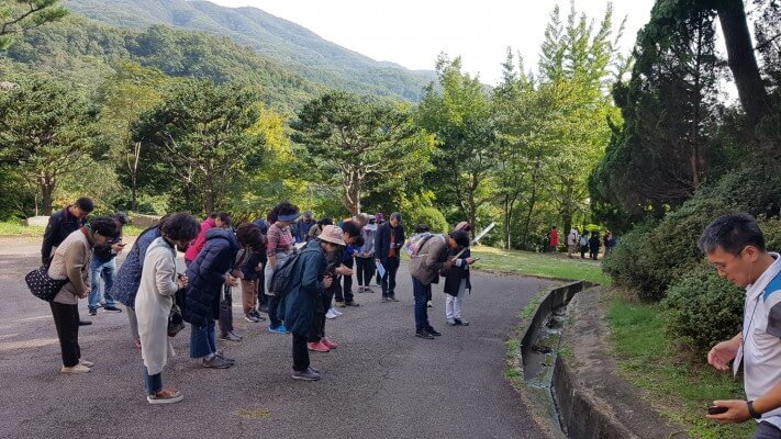 5d850a3bd09b2cc4beab1ddf95c6adfd_1570698