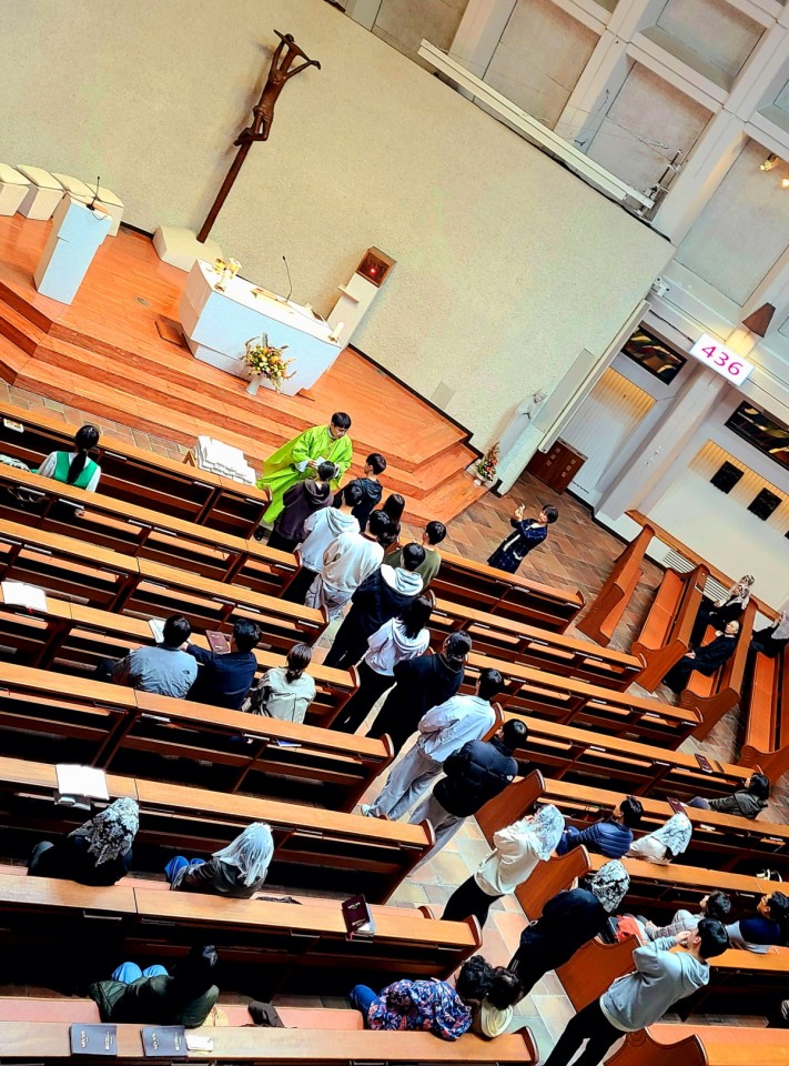 ab24201dc644c6327d8d2971406ff98b_1731781