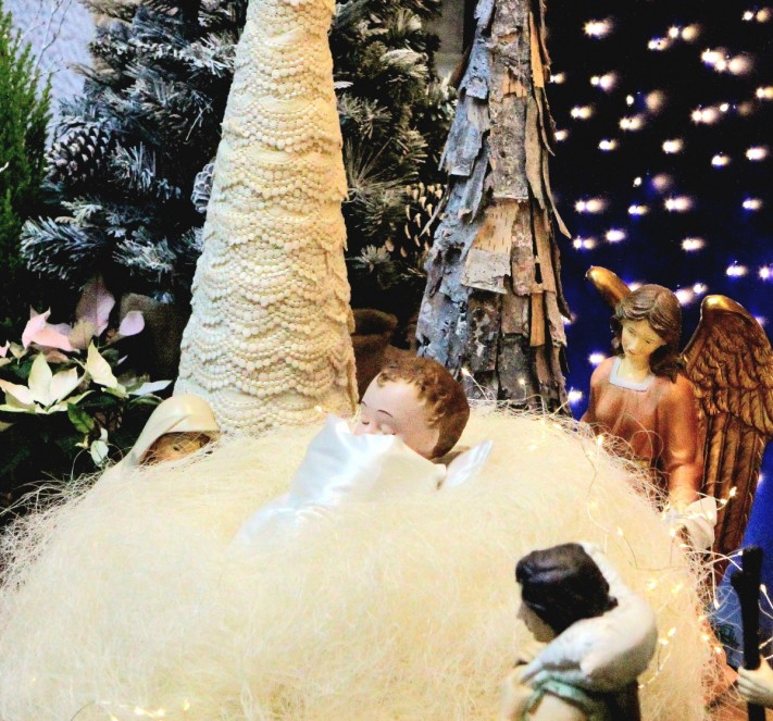 a0e8370f8c1631e29b07a217b2bba544_1735382