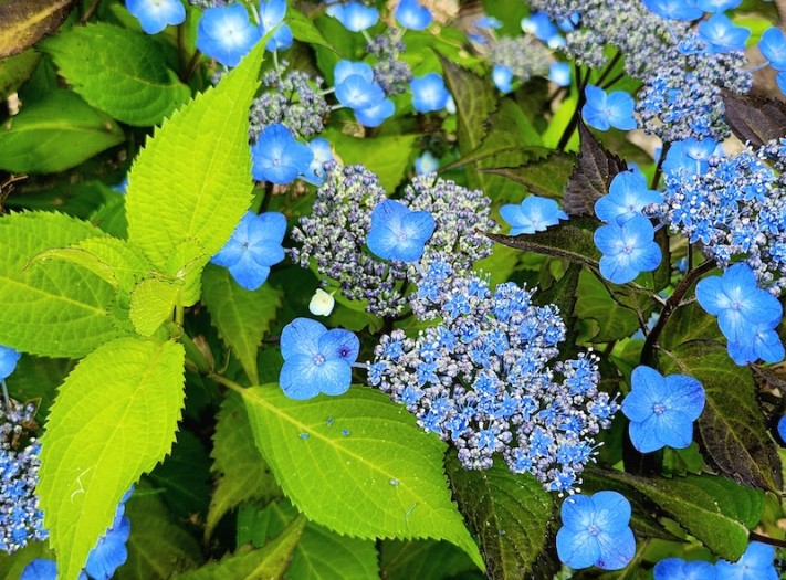 c84d84f8521e8b54636707f68e71c5f1_1752027