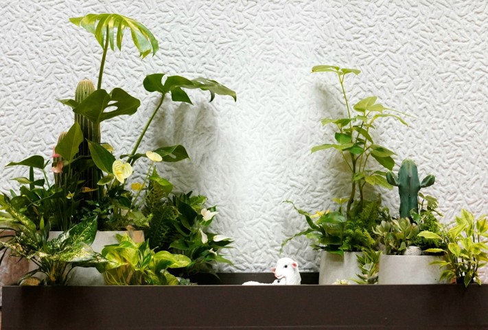 e09dcc3d0e6a880fdfc59daf3a4657e1_1756047